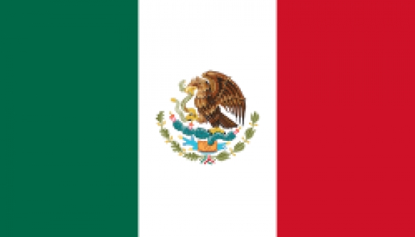 Стипендии Правительства Мексики